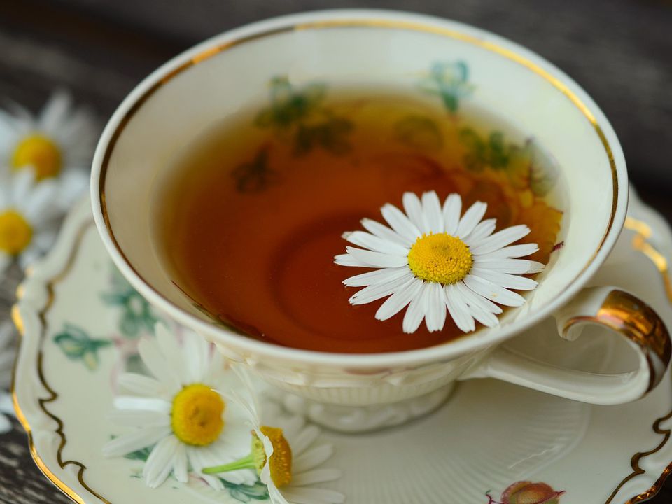 Три види чаю, які успішно рятують від головного болю. Іноді в пігулках немає потреби.