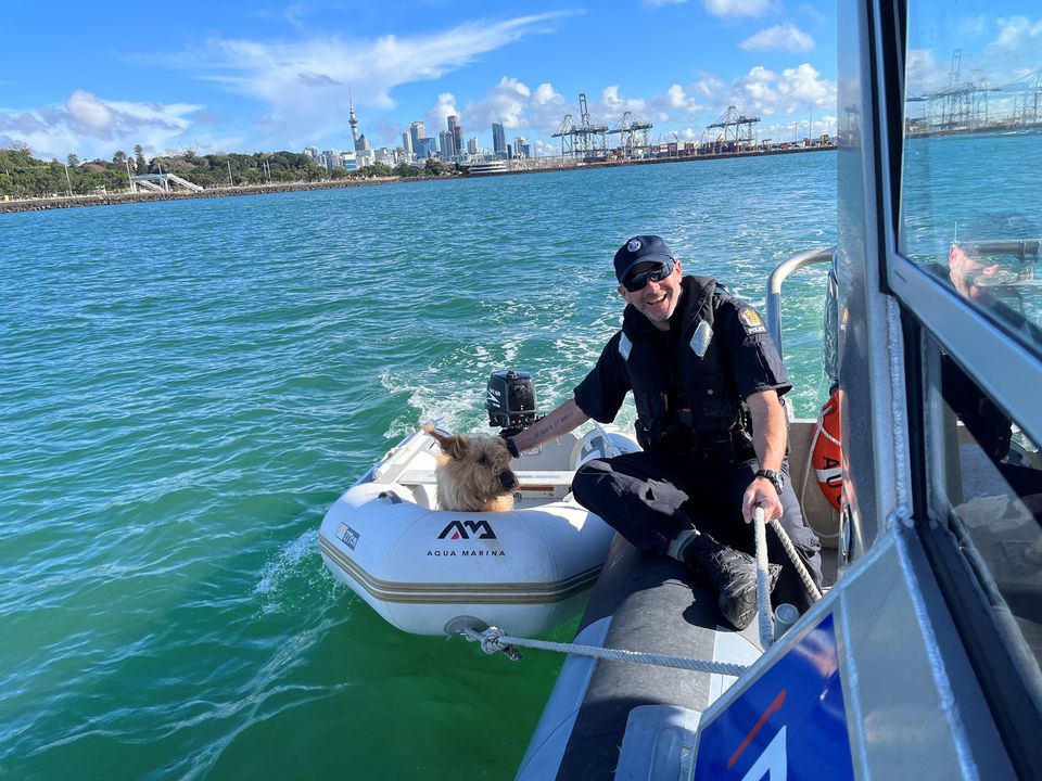 Поліція врятувала собаку, якого знайшли на маленькому човні, що дрейфував у морі, і врятувала його. Пес випадково поплив від свого господаря на човні.