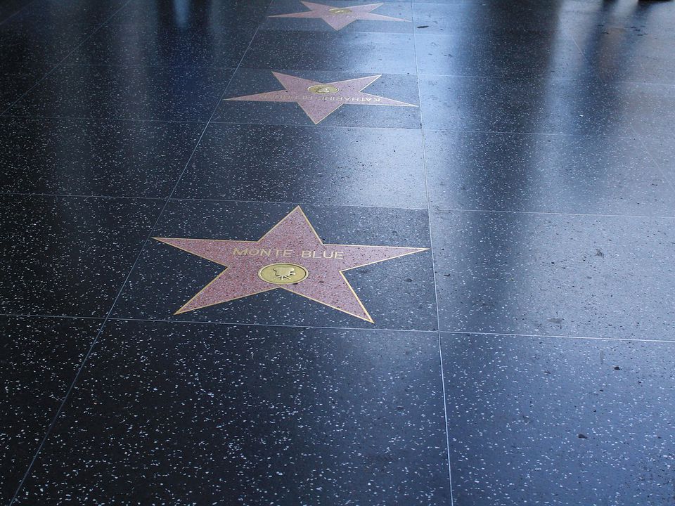 Голлівудська Алея слави назвала зірок, які отримають іменні таблички у 2024 році. До списку потрапили 31 знаменитість зі світу кіно, телебачення, театру, музики та спорту.