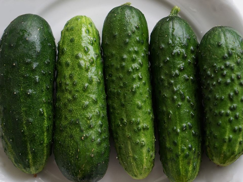 Змастіть цим огірки та відправте в холодильник: не зіпсуються пару місяців. Проста хитрість, яка допоможе зберегти врожай.