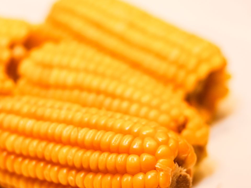 Качани стануть ще м'якшими та смачнішими: несподіваний спосіб варіння кукурудзи. Секрети кулінарів.