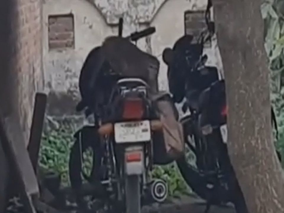 В Індії мавпа вкрала з мотоцикла сумку, наповнену великою сумою грошей. Адміністрація підтверджує, що мавпи в місті "зовсім знахабніли".