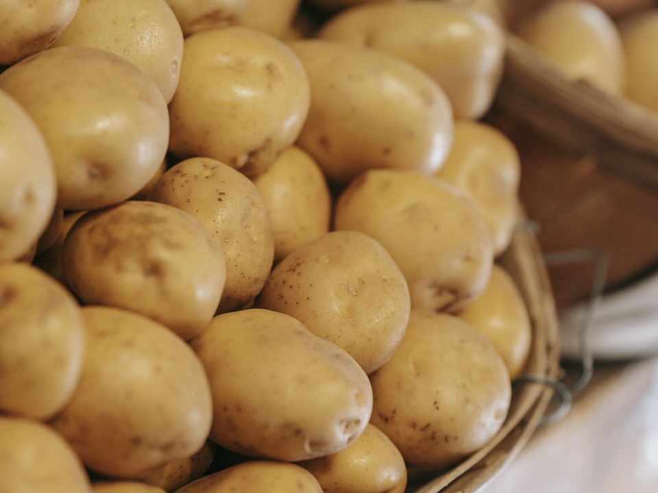 Як визначити отруйну картоплю: достатньо знати ці ознаки. Поганий плід можна визначити за кольором та запахом.