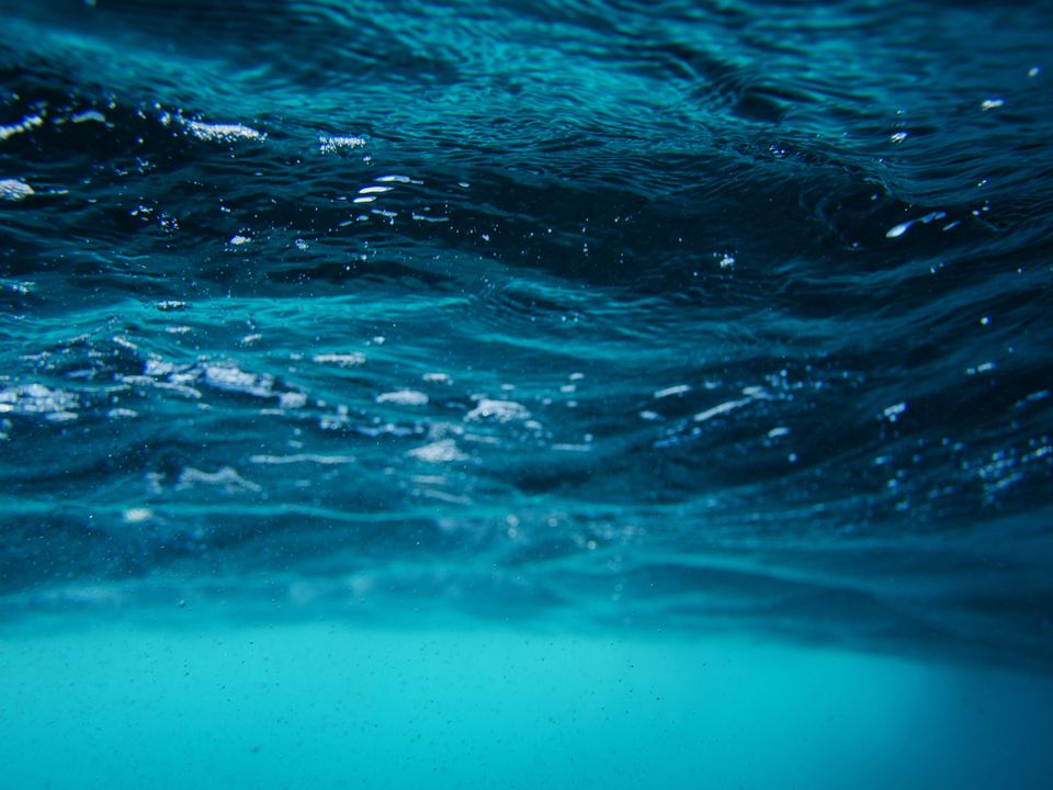 Вчені знайшли під дном океану невідомий світ живих істот. Дивовижне відео.