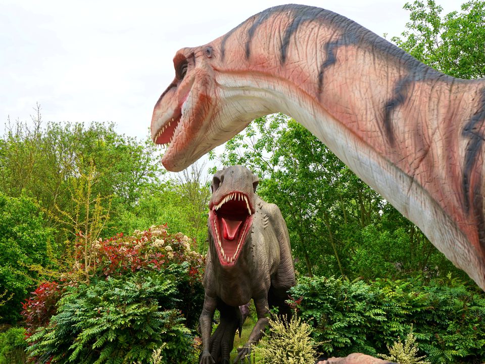 А ви знаєте якого кольору були динозаври?. Динозаври, таємничі істоти, які керували нашою планетою мільйони років тому.