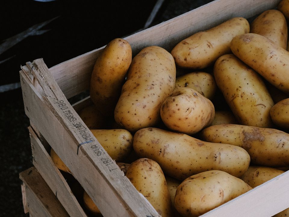 Щоб картопля не гнила в погребі — прості кроки для усунення проблеми. Основні правила зберігання картоплі в льосі.