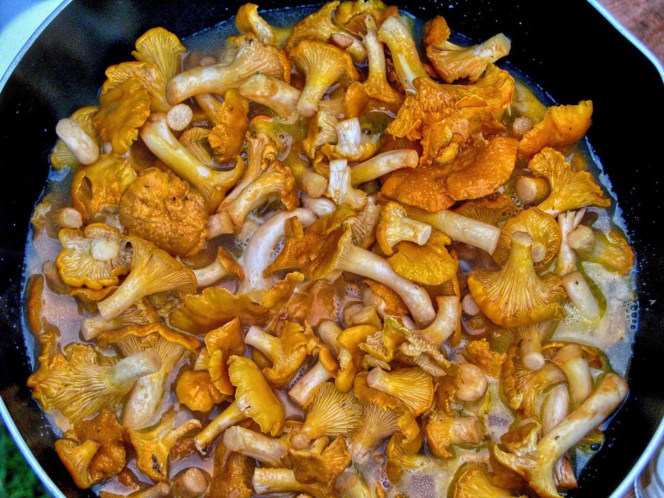 Що додати в каструлю під час варіння грибів, щоб вони не потемніли та зберегли свій природний колір. Хитрощі досвідчених господарок.