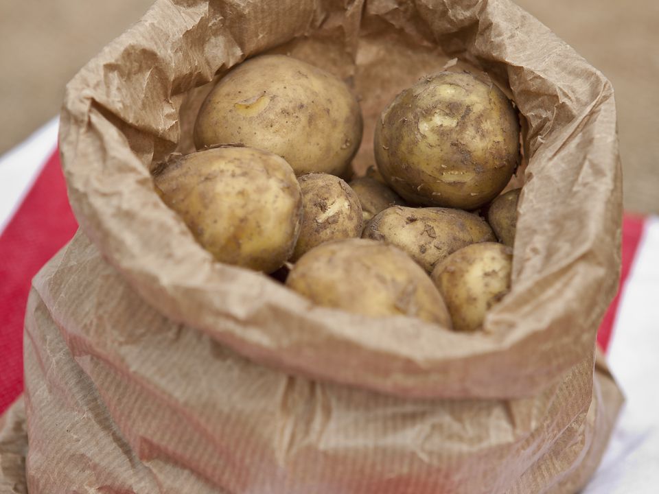 Як не дати картоплі прорости взимку: цей трюк зупинить ріст вічок навіть у теплі. Доступний продукт не дасть картоплі прорости у квартирі.