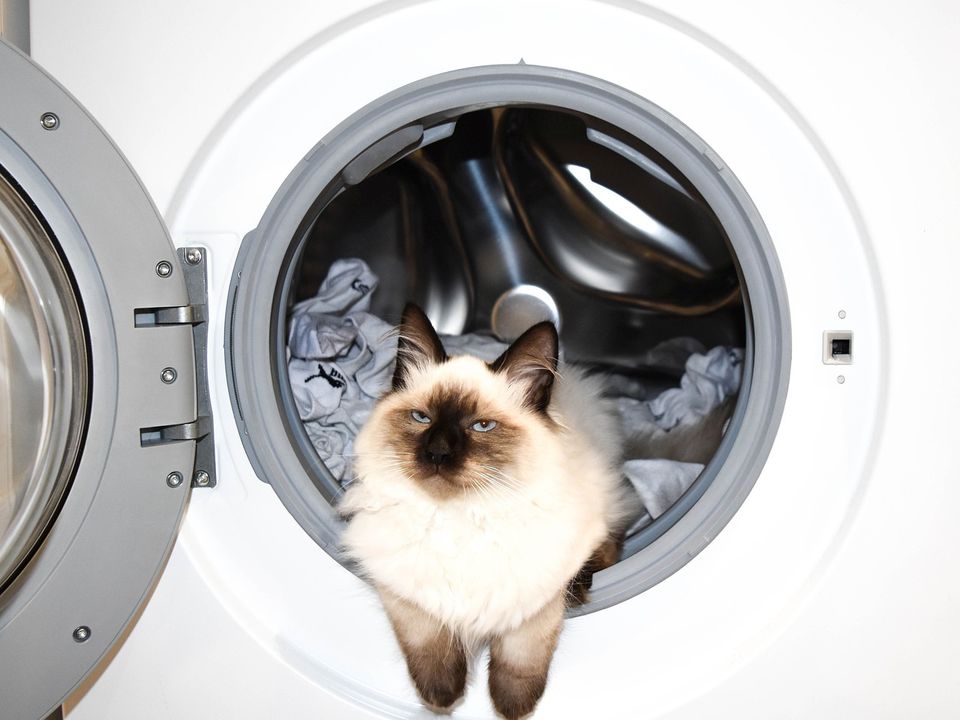 Щоб прання не обернулося ремонтом: які засоби не можна додавати в машинку-автомат. Обережно, небезпечні лайфхаки.