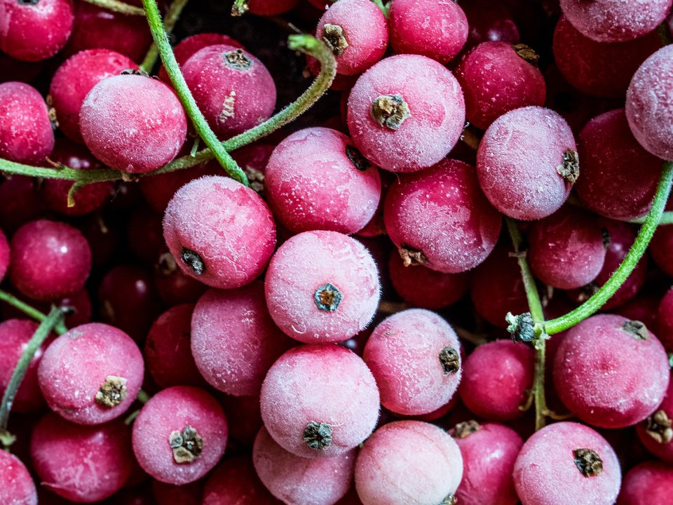 Фрукти та ягоди, які не втрачають смак після заморожування. Краще по можливості вживати свіжі плоди.