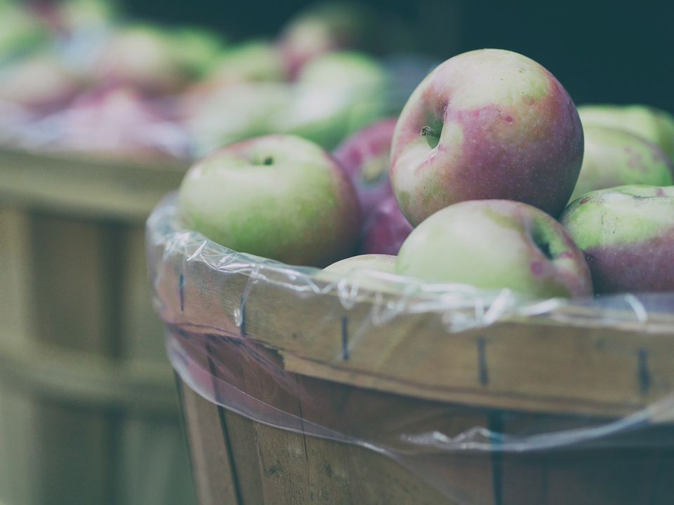 Надійні способи зберігання яблук аж до весни. Агрономи розповіли, як зберегти яблука.