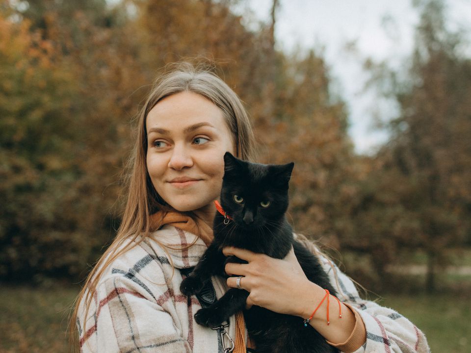 Декілька забобонів про кішок, які доводять, що вони – містичні істоти. Прикмети про пухнастиків.