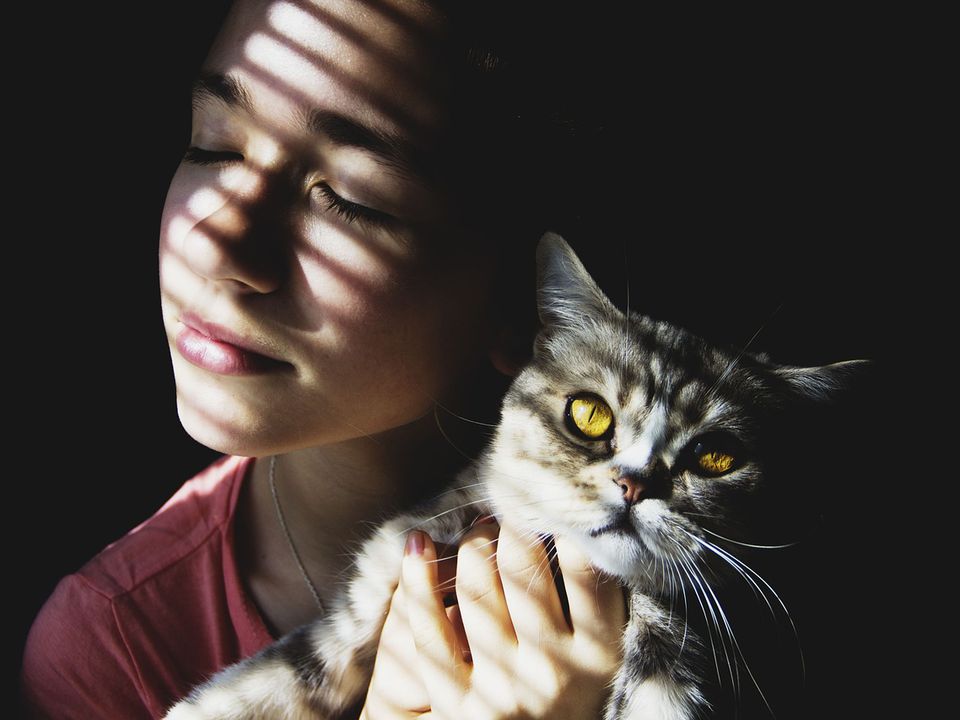 Чому кішка обирає як господаря лише одну людину. Зоопсихологи пояснили причину.