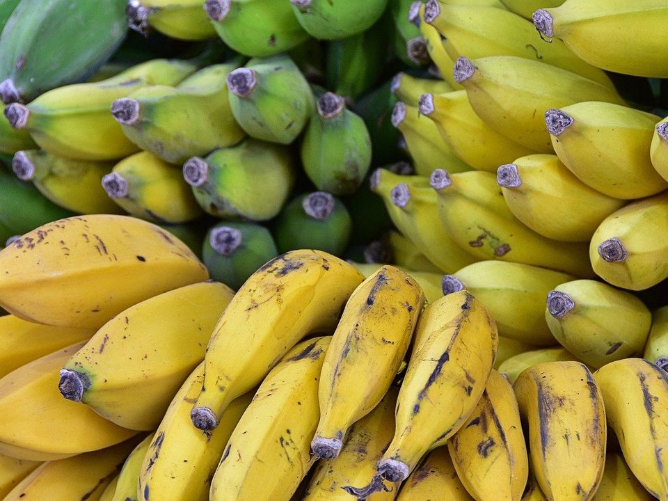 Це найбільший міф про банани — багато хто досі в нього вірить. Там не ховається ніяке зло.