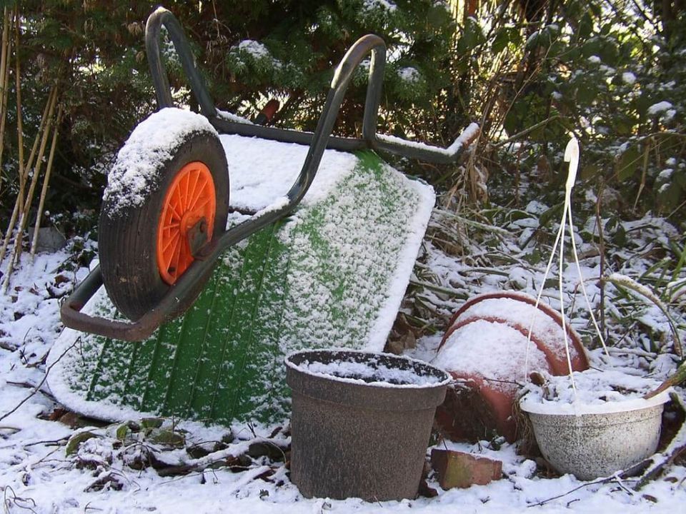 Ці 5 справ можна зробити у саду у січні. Досвідчений садівник розуміє важливість догляду за садом навіть у зимовий період – він чудово знає, що цим готується до весни.