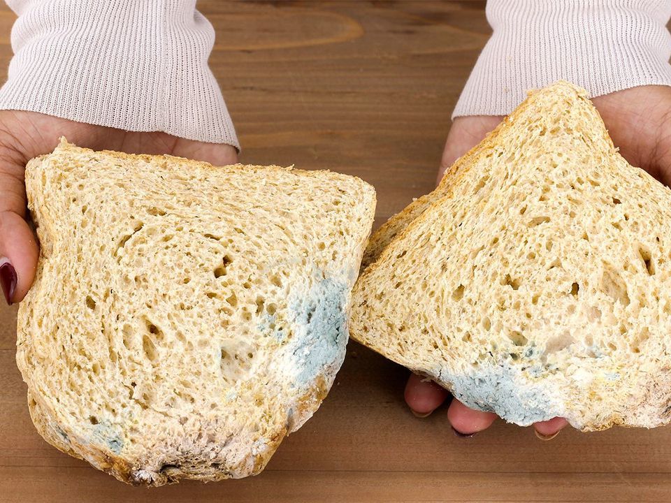 Магазинний хліб швидко пліснявіє? Це через порушення технології. Розповідаємо, що робити, щоб хліб зберігався цілий тиждень без цвілі.