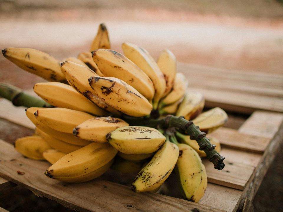 Зелений, жовтий чи коричневий: банан якої стиглості найкорисніший. Чи залежить користь бананів від їхньої стиглості.