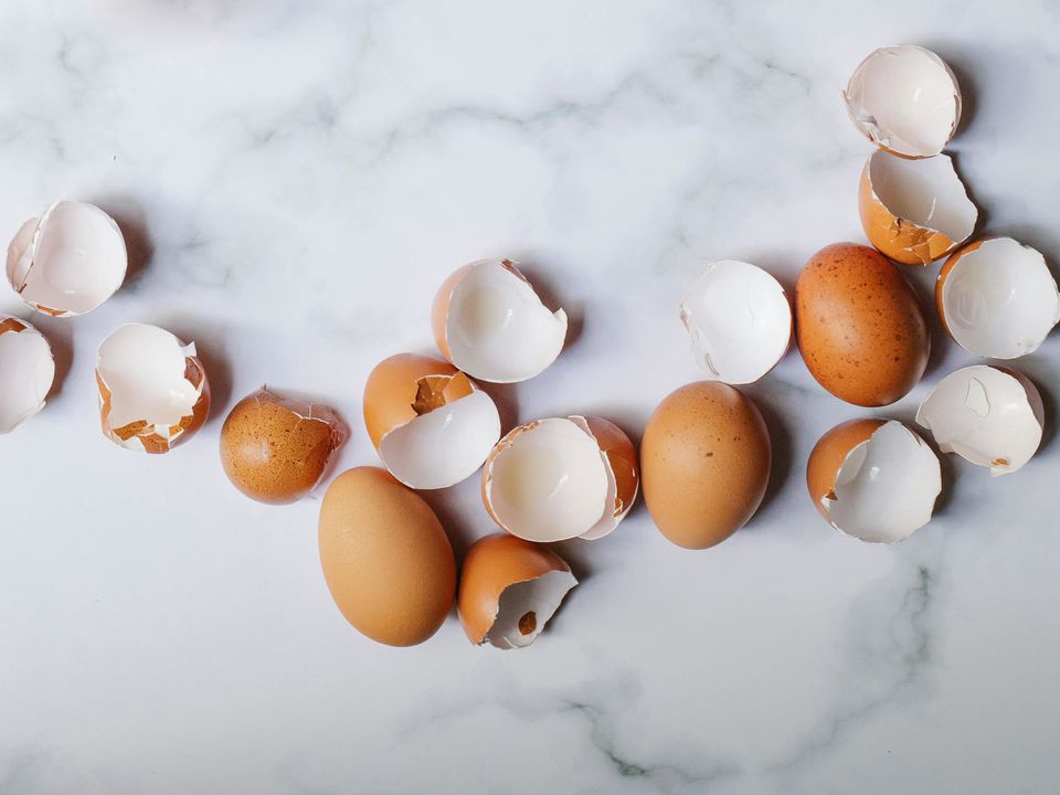 Яєчна шкаралупа на дачі: користь і шкода — розвіюємо міфи. Чи приносить користь городу яєчна шкаралупа?
