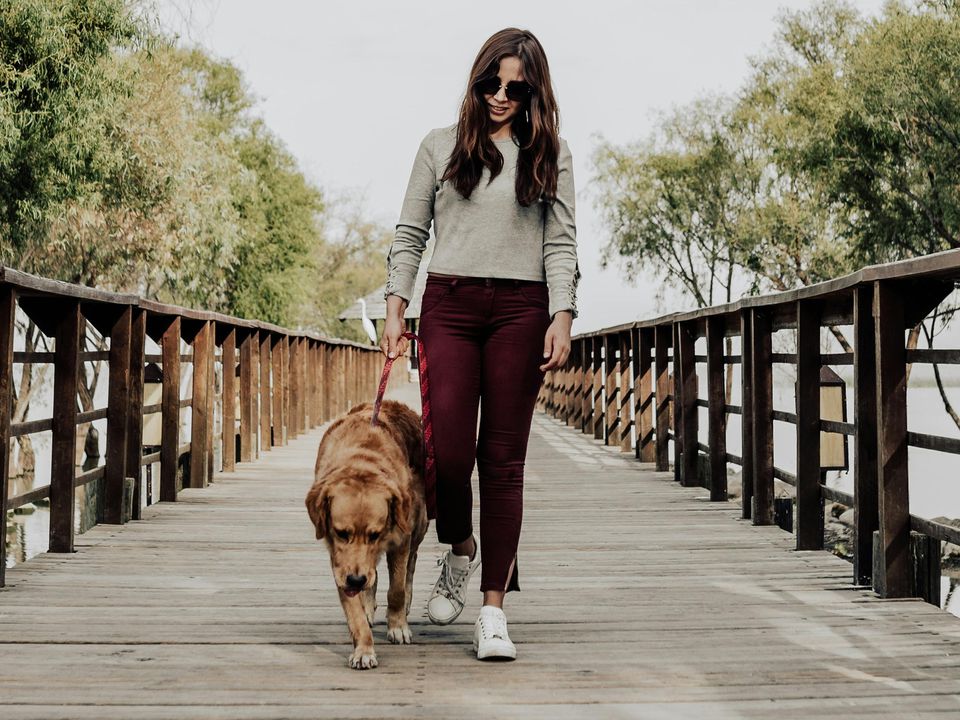 Ветеринари пояснили, що не можна забороняти собаці на прогулянці, навіть якщо ви поспішаєте. Поведінка песика, яка є важливою для його благополуччя.