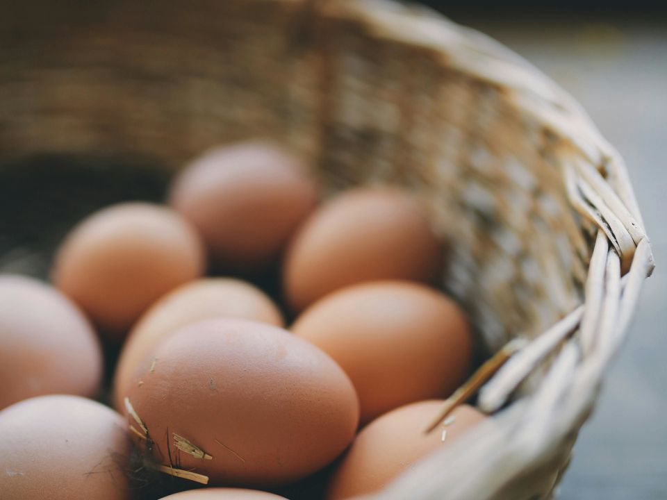 Чи потрібно мити свіжі яйця перед використанням — експерт поставив крапку у суперечці. Що робити, якщо яйця виглядають брудними?