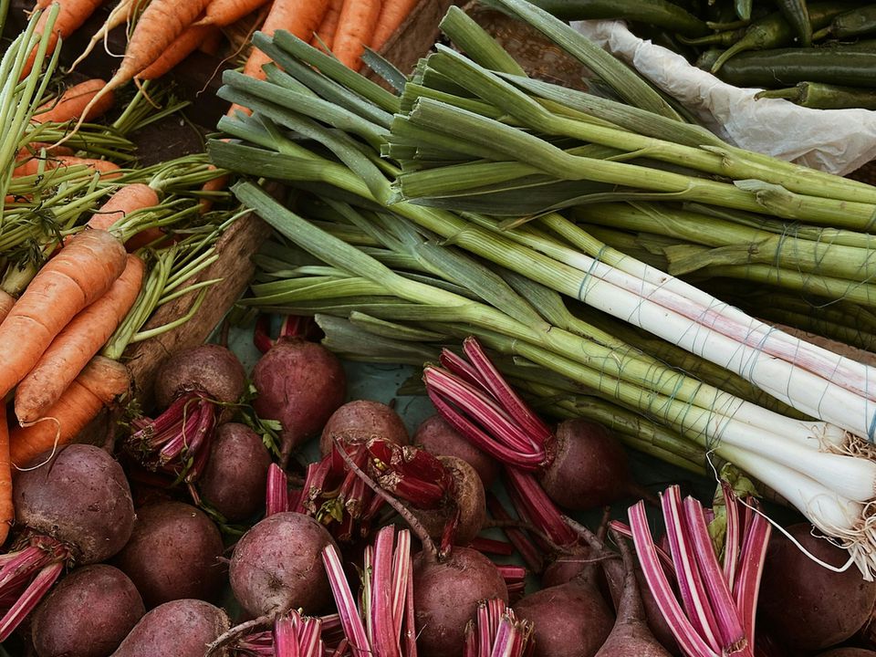 Чим підживити буряк і моркву в липні, щоб були рівними та солодкими. Від правильного удобрення залежить смак, лежкість і вирівняність моркви й буряка.