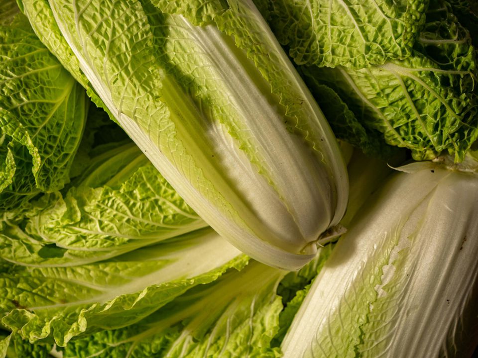 Ваше серце та імунітет скажуть спасибі. Включіть у раціон цей продукт. Рекомендації лікарів.