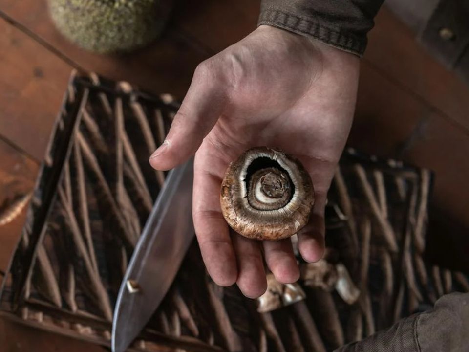 Альтернатива сонцю: 6 продуктів з високим вмістом вітаміну D. Отримати його з їжею цілком реально.