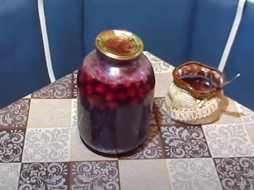 Чому в закрутках з компотом з'являється піна і чи можна виправити ситуацію. Пінка в компоті — ознака псування продукту.