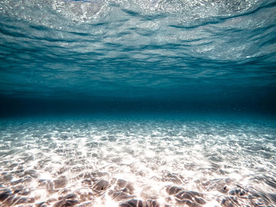 Перевернутий світ під водою: На морському дні виявлено аномальні піщані утворення. Що приховує дно Північного моря.