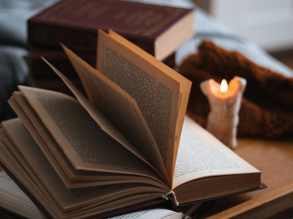 Мої улюблені сімейні саги: книги, в яких переплітаються долі поколінь. Дуже цікаво розплутувати клубок сімейних стосунків, недомовок, намагатися розгадати сімейні таємниці, зрозуміти кожного героя.