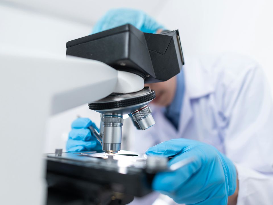 Експериментальна mRNA-терапія забезпечує клітинам захист від різних вірусів одразу. Універсальний противірусний щит.
