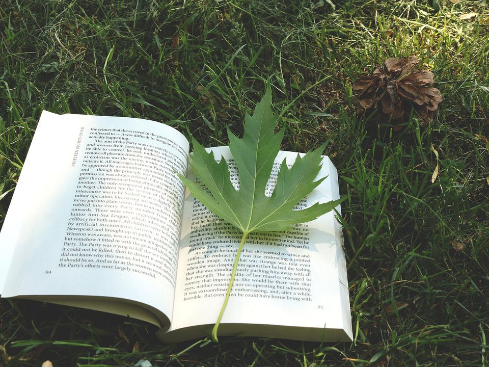 4 прекрасні книги, які стали сучасною класикою. Вам точно захочеться їх перечитати!. Багато хто вважає, що сучасна література ні за що не зможе перевершити класику, а сучасні автори не можуть написати щось гідне, глибоке, психологічно точне.