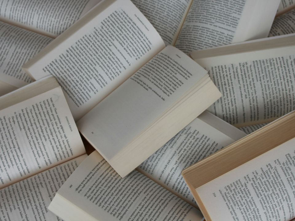 5 книг, які рекомендував до прочитання Стівен Кінг. Чудові книги, які захоплюють з головою!