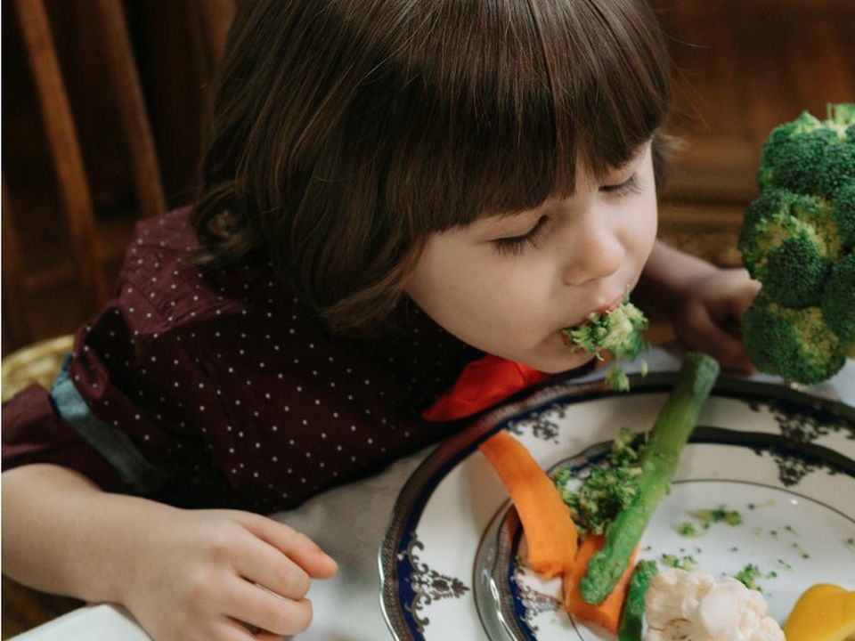 4 правила столового етикету, яким потрібно в першу чергу навчити дитину. Дітей недарма порівнюють з губками. Вони так само відмінно вбирають, тільки не воду, а інформацію.