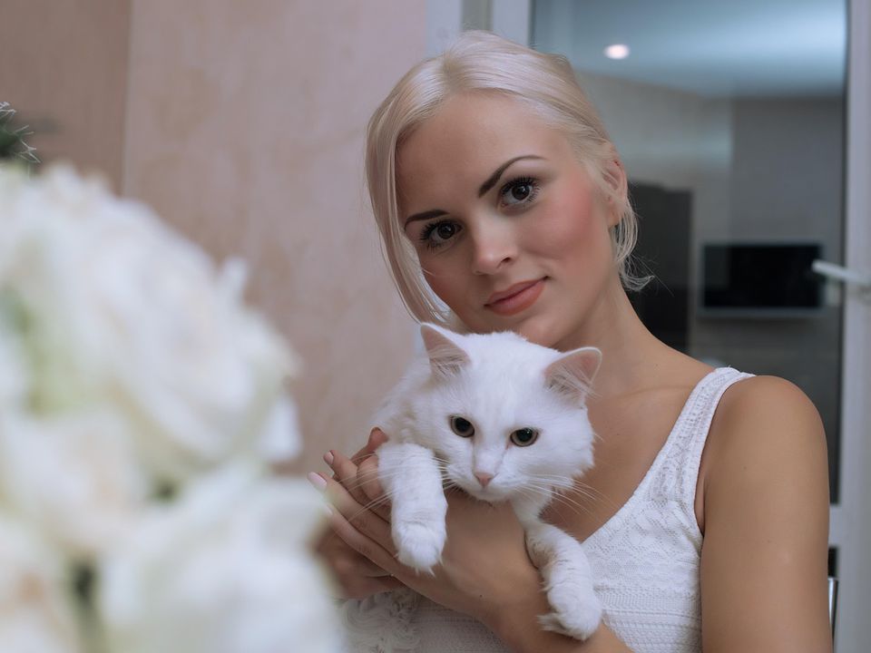 Чому кішку не можна скидати з рук/колін, а потрібно обов'язково ставити лапами на підлогу. Чому не можна інакше.