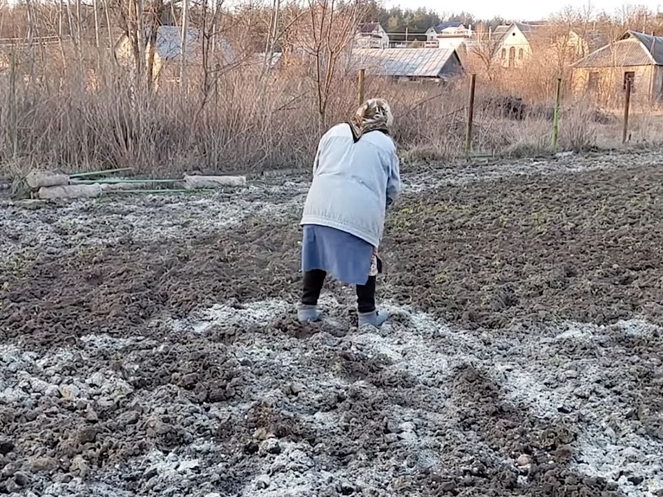 Вапнування ґрунту. Важливі моменти, які повинен знати кожен дачник. Вапнування ґрунту — це важливий агроприйом, який дозволяє збільшити врожайність овочевих культур на кислих ґрунтах.