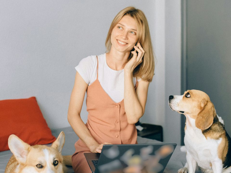 Місце собаки — поруч із вами? Усе, що варто знати про спільний сон із чотирилапим другом. Сім випадків, коли собаці не місце на вашому ліжку.