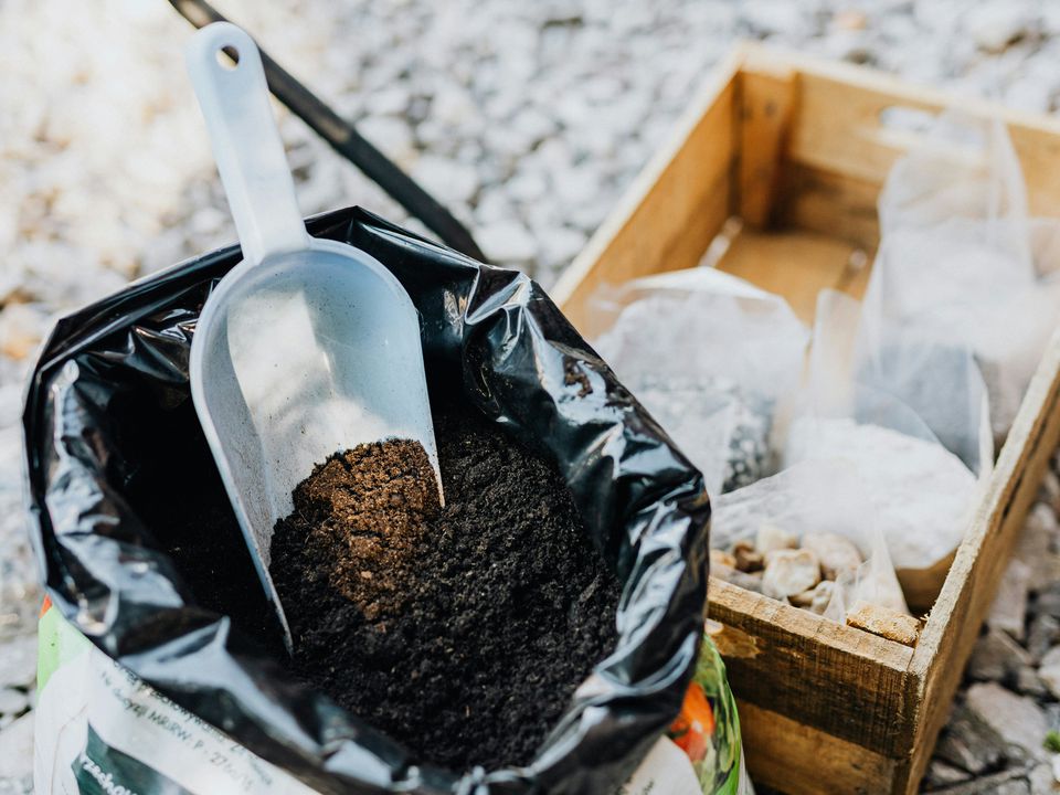 Заготівля ґрунту на зиму: мій перевірений спосіб без черв'яків, кірки і зайвих витрат. Коли і де набираю ґрунт для розсади на майбутній сезон.