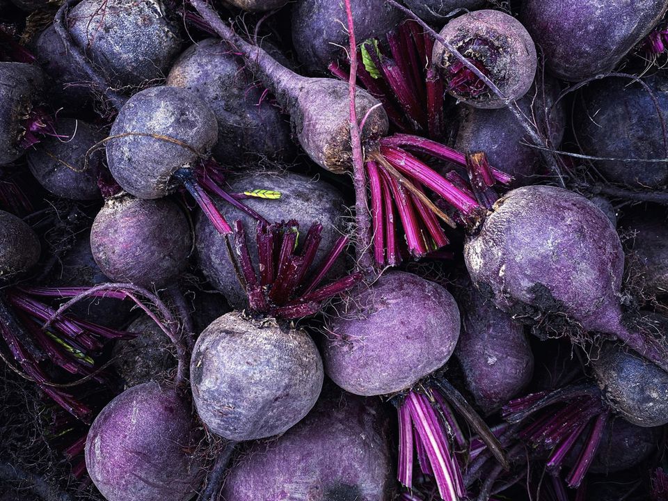 Ось як треба зберігати буряк, щоб до весни був соковитий. Що треба знати.