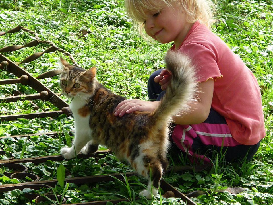 "Не все так просто": Як домашні улюбленці насправді впливають на наших дітей. Вплив домашніх тварин на психологічне здоров'я дітей.