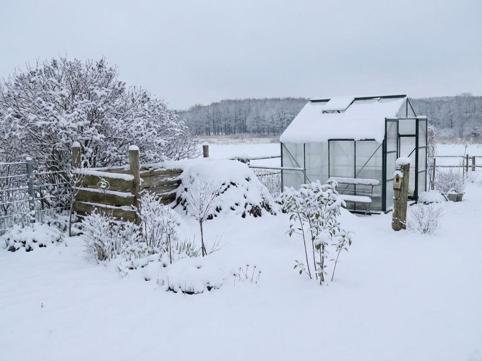 Помилки дачників, через які полікарбонат швидко руйнується. Причини обвалу теплиць взимку.