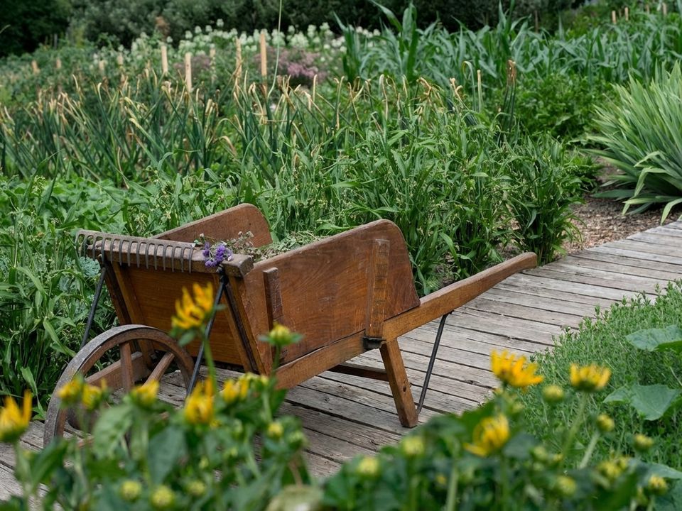 З чого зробити стежки між грядками: найдоступніші та практичні варіанти. Корисні поради.