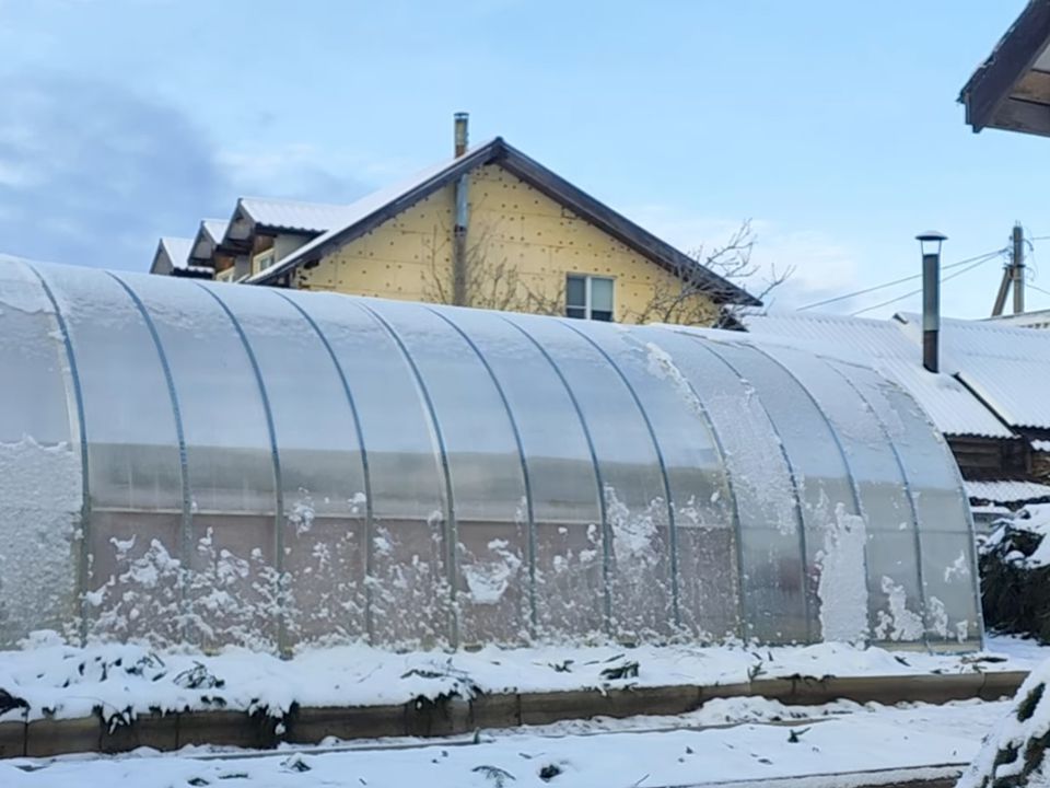 Що посіяти під зиму в теплиці. Теплиця дозволяє отримувати ранні овочі та зелень.