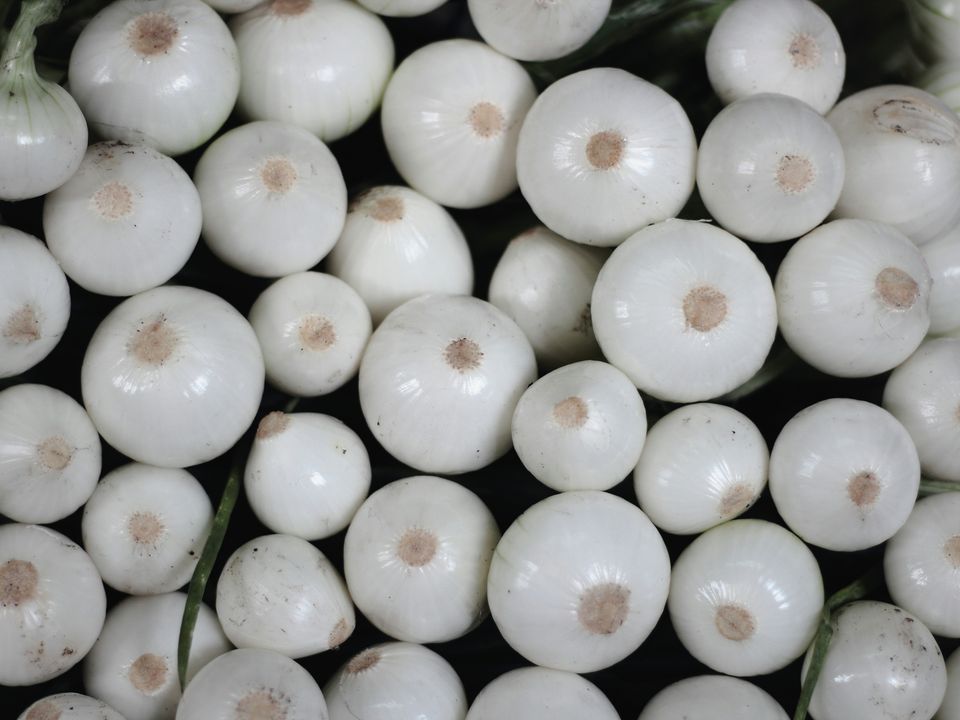 Для чого потрібні різні сорти цибулі і як у них розібратися. Зайшовши до магазину, ми найчастіше беремо першу-ліпшу цибулину, не замислюючись про сорт.