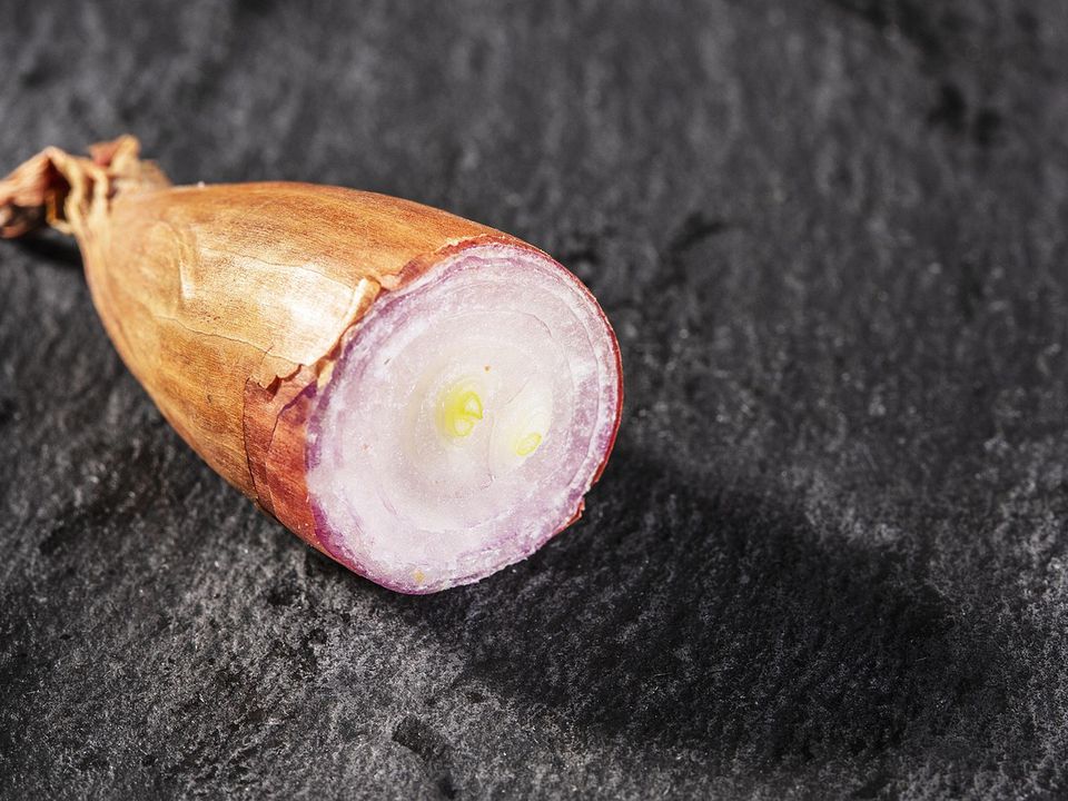 Для чого потрібні різні сорти цибулі і як у них розібратися. Зайшовши до магазину, ми найчастіше беремо першу-ліпшу цибулину, не замислюючись про сорт.