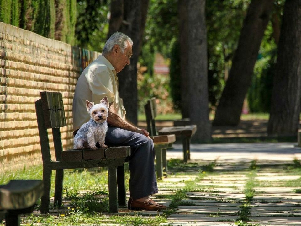 "Вже запізно": Чому страх завести тварину у 50+ — це пастка, в яку ви не повинні потрапити. Вік, після якого не варто заводити тварин.