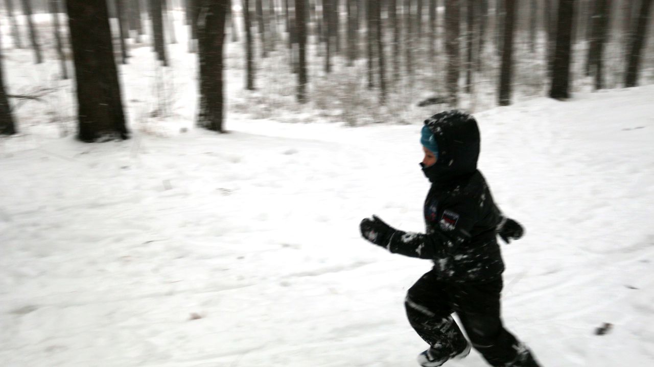 Життя яке ми не помічаємо — що я нещодавно зрозуміла для себе. Прямо у серце!