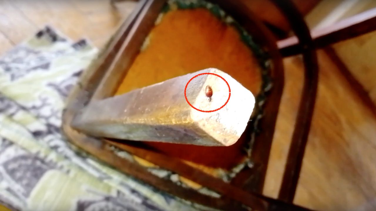 Ілюстрація до статті: Старий дідівський метод позбавлення від клопів.