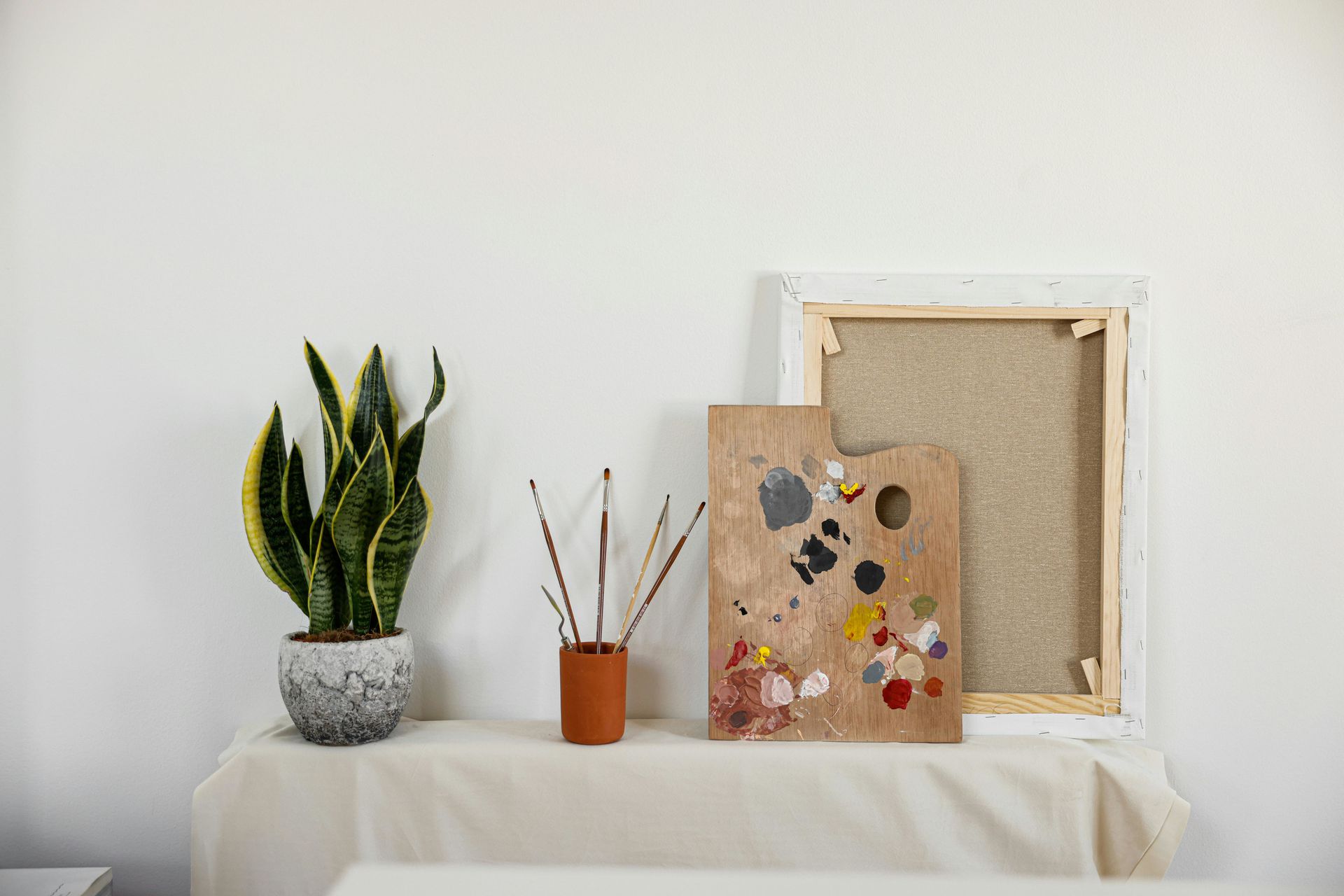 Кімнатна рослина сансев'єрія.