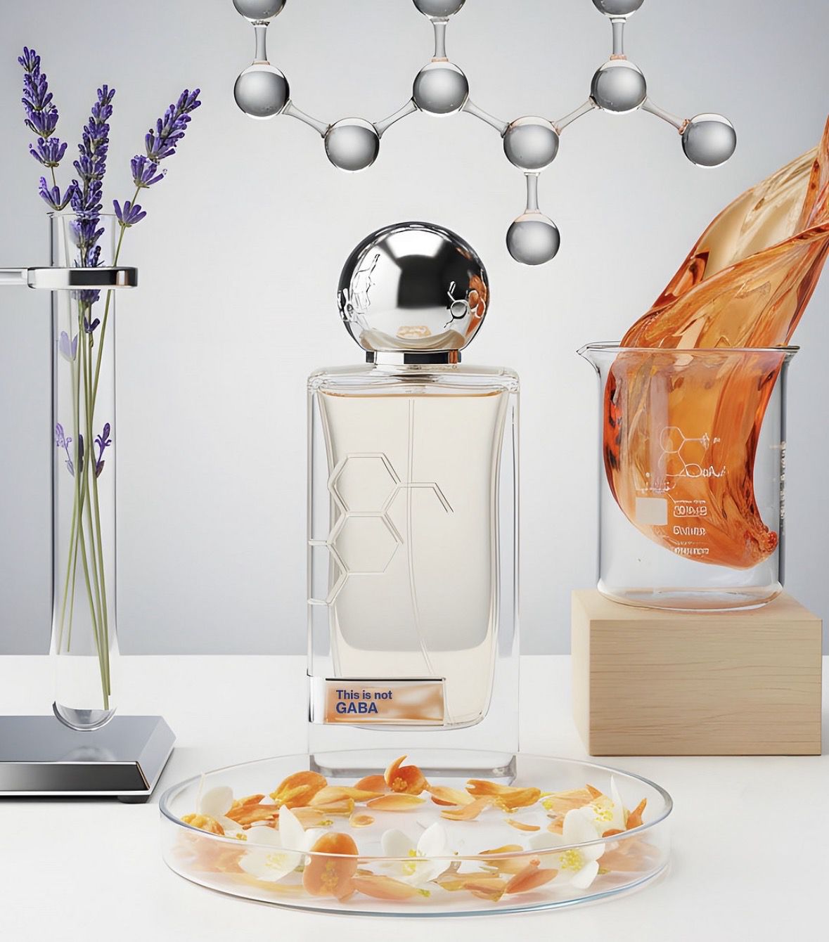 Hormone Paris — This is not Gaba